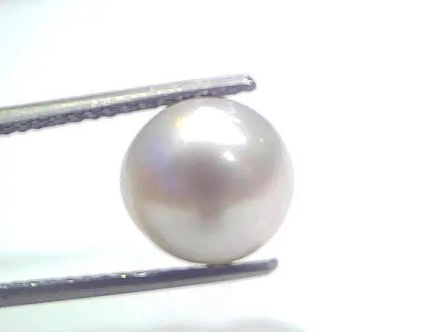 7.11 Ct Natural Certified Real South Sea Pearl Certified Moti