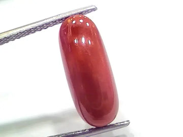7.21 Ct 12 Ratti Natural Italian Red Coral Moonga Gemstone