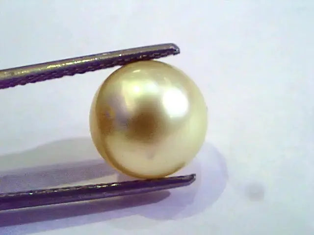 7.25 Carat Natural Certified Real South Sea Pearl,Certified Moti