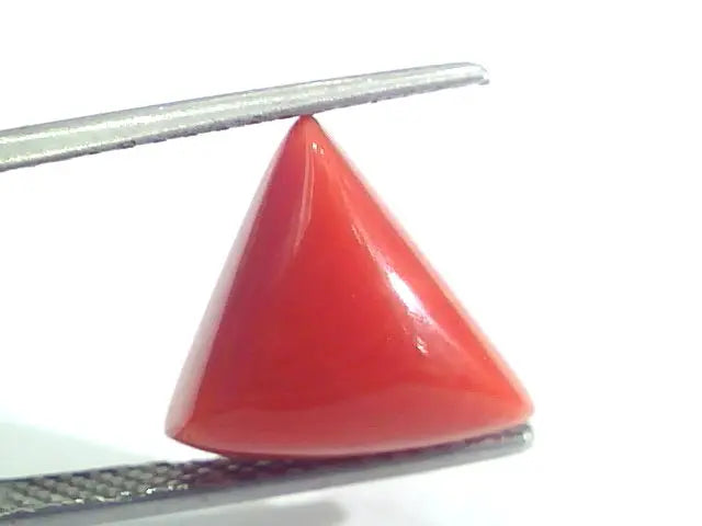 7.24 Ct 12 Ratti Natural Italian Triangle Red Coral Moonga Gemstone