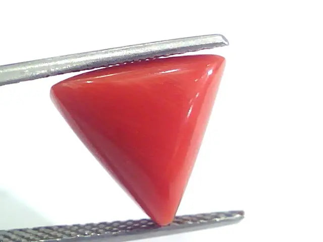 7.24 Ct 12 Ratti Natural Italian Triangle Red Coral Moonga Gemstone