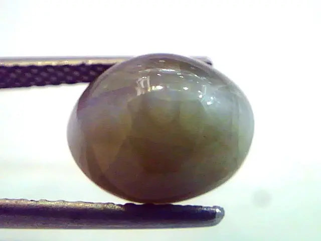 7.26 Ct Certified Untreted Natural Chrysoberyl Cats Eye,Lehsunia