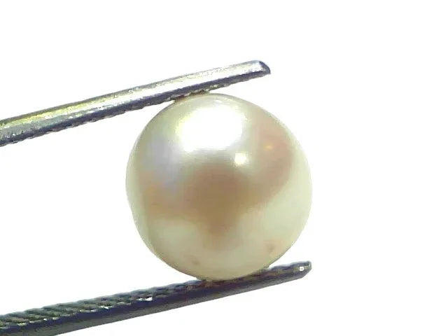 7.31 Ct Natural Certified Real South Sea Pearl Certified Moti - Venus Gems