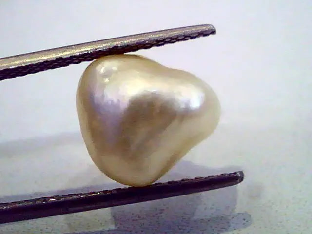7.28 Ct Certified Natural Real Venunjula Pearl,Real moti