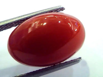 7.37 Ct Top Grade Premium Untreated Natural Japan Red Coral Gemstone