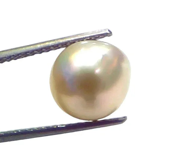 7.33 Ct Natural Certified Real South Sea Pearl Certified Moti - Venus Gems