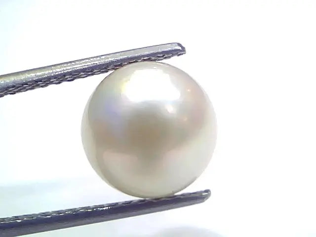 7.32 Ct Natural Certified Real South Sea Pearl Certified Moti