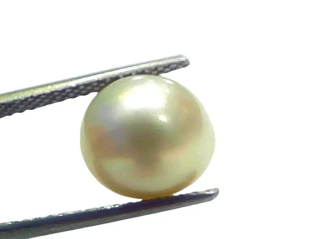 7.38 Ct Natural Certified Real South Sea Pearl Certified Moti - Venus Gems