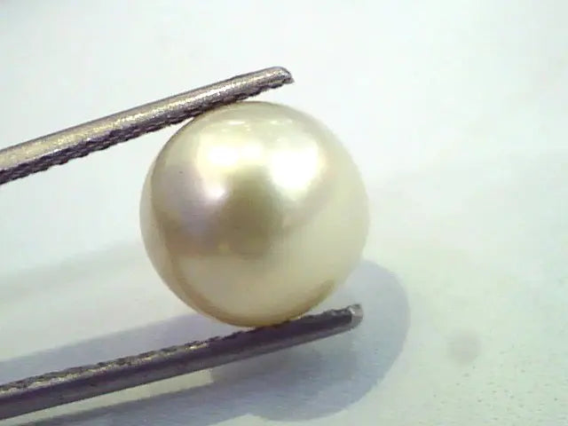 7.32 Carat Natural Certified Real South Sea Pearl,Certified Moti