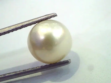 7.32 Carat Natural Certified Real South Sea Pearl,Certified Moti