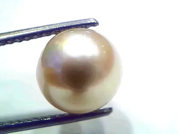 7.42 Ct Natural Certified Real South Sea Pearl Certified Moti - Venus Gems