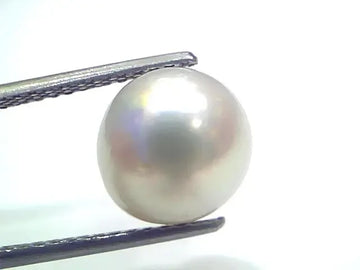 7.40 Ct Natural Certified Real South Sea Pearl Certified Moti - Venus Gems