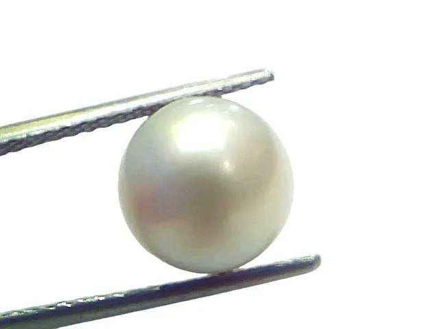 7.48 Ct Natural Certified Real South Sea Pearl Certified Moti - Venus Gems