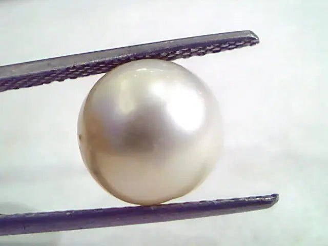 7.50 Carat Natural Certified Real South Sea Pearl,Certified Moti