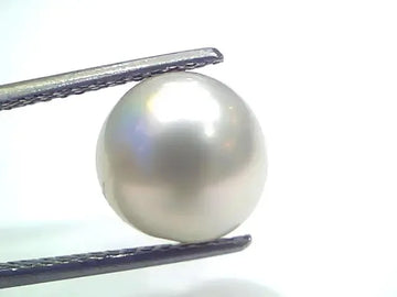 7.49 Ct Natural Certified Real South Sea Pearl Certified Moti - Venus Gems