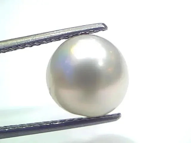7.49 Ct Natural Certified Real South Sea Pearl Certified Moti - Venus Gems