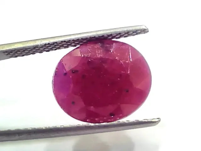 7.56 Ct Certified Unheated Untreated Natural New Burma Ruby - Venus Gems