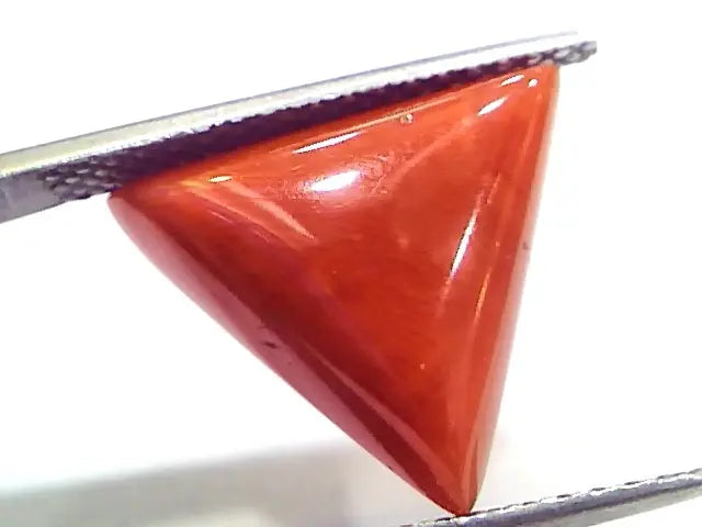 7.58 Ct 12.5 Ratti Natural Italian Triangle Red Coral Moonga Gemstone