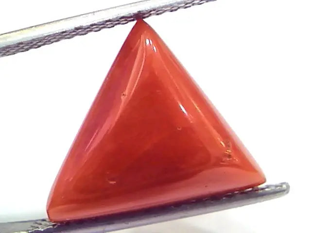 7.58 Ct 12.5 Ratti Natural Italian Triangle Red Coral Moonga Gemstone