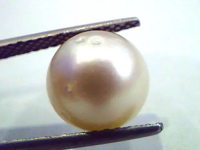 7.52 Carat Natural Certified Real South Sea Pearl,Certified Moti