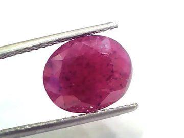7.61 Ct Certified Unheated Untreated Natural New Burma Ruby