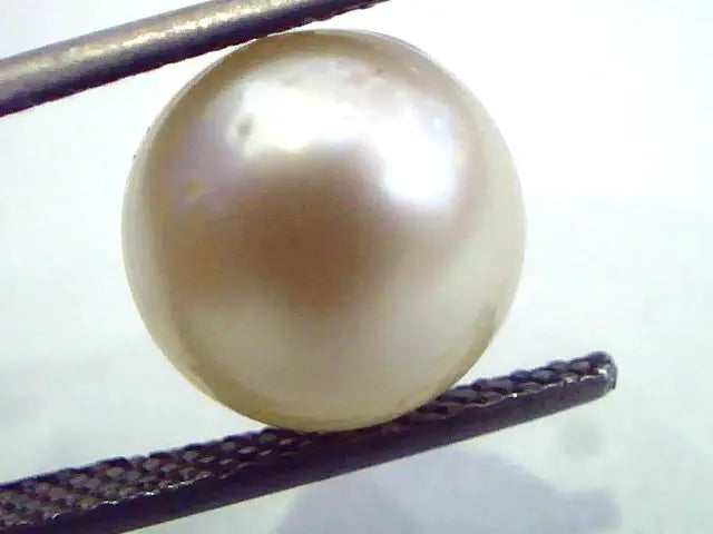 7.59 Carat Natural Certified Real South Sea Pearl,Certified Moti