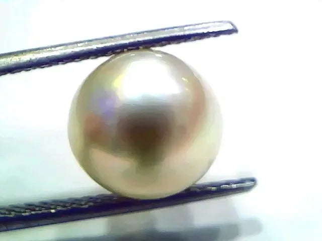 7.63 Ct Natural Certified Real South Sea Pearl Certified Moti - Venus Gems