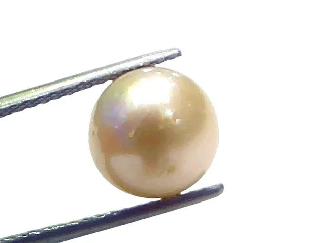 7.64 Ct Natural Certified Real South Sea Pearl Certified Moti - Venus Gems