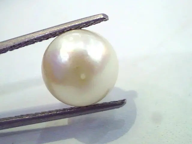 7.62 Carat Natural Certified Real South Sea Pearl,Certified Moti