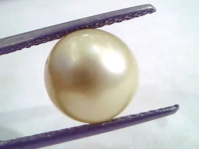 7.68 Carat Natural Certified Real South Sea Pearl,Certified Moti