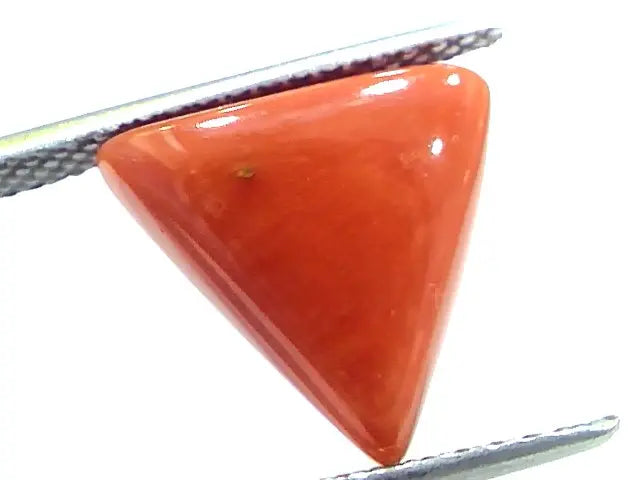 7.67 Ct 12.7 Ratti Natural Italian Triangle Red Coral Moonga Gemstone