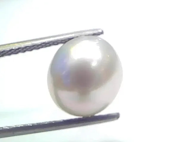 7.55 Ct Natural Certified Real South Sea Pearl Certified Moti - Venus Gems