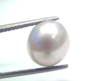 7.55 Ct Natural Certified Real South Sea Pearl Certified Moti - Venus Gems