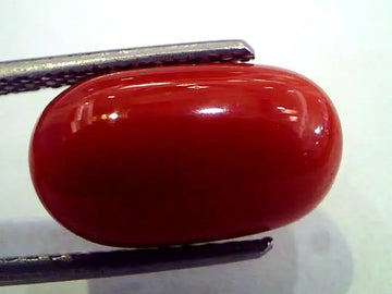 7.70 Ct Premium Natural Italian Red Coral,Real Moonga Gemstone AAA