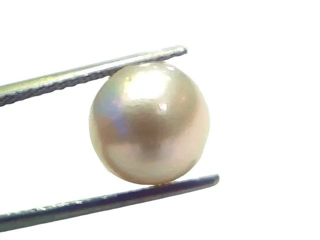 7.75 Ct Natural Certified Real South Sea Pearl Certified Moti - Venus Gems