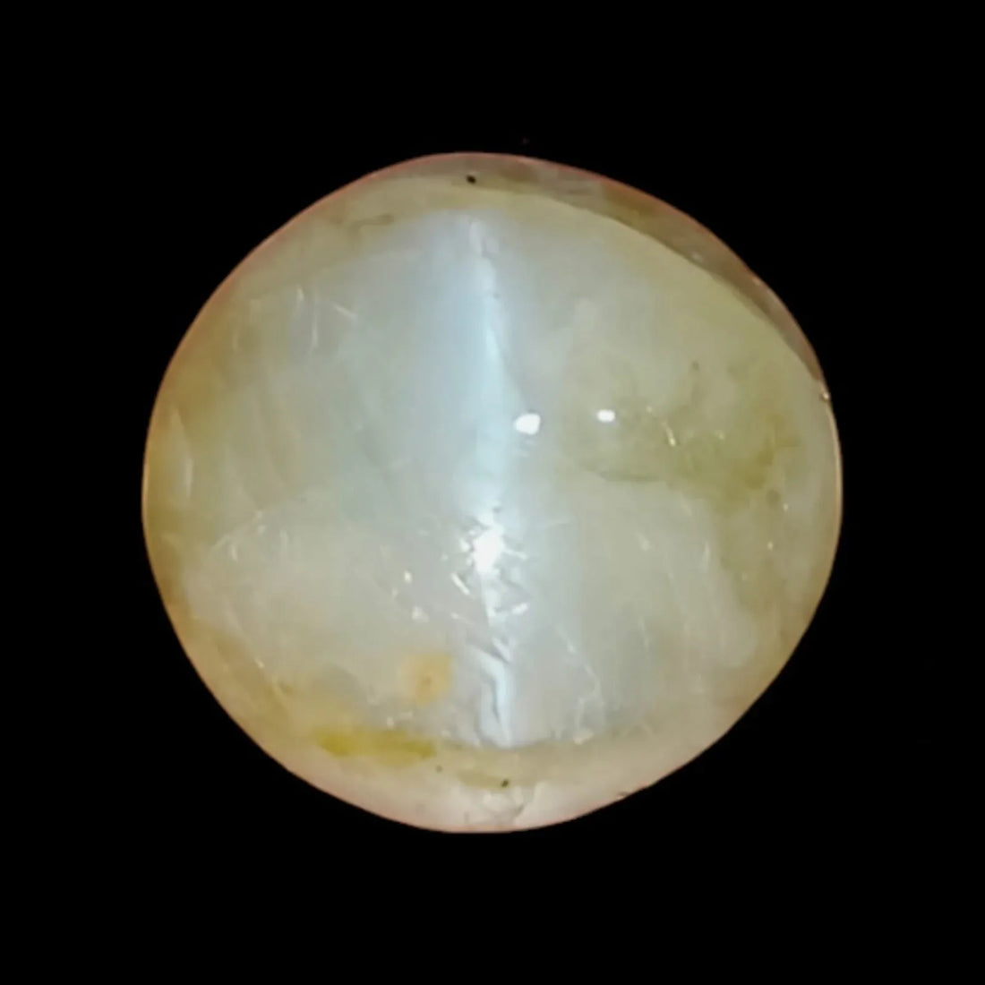 7.79 Ct Certified Untreated Natural Chrysoberyl Cats Eye Lehsunia - Venus Gems