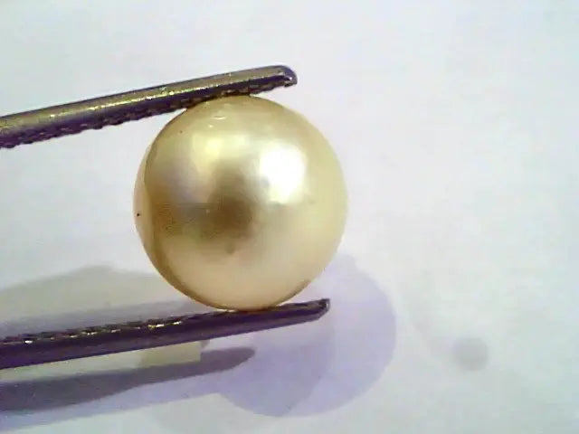 7.77 Carat Natural Certified Real South Sea Pearl,Certified Moti