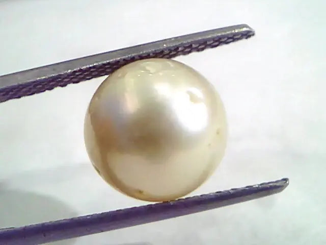 7.82 Carat Natural Certified Real South Sea Pearl,Certified Moti