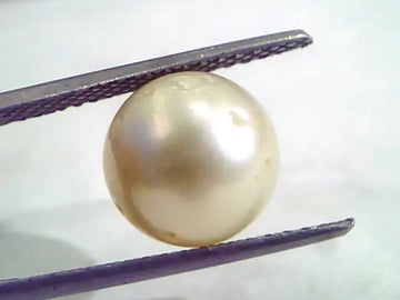 7.82 Carat Natural Certified Real South Sea Pearl,Certified Moti