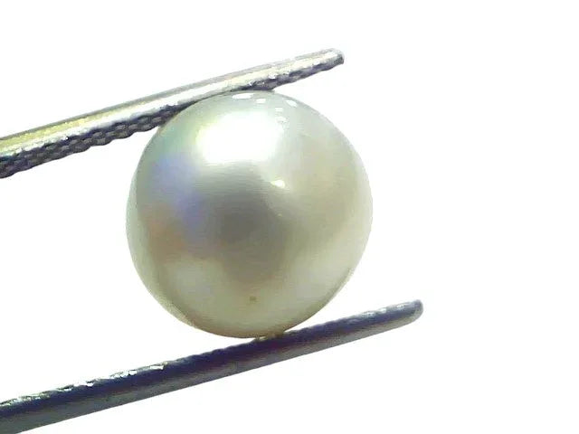 7.85 Ct Natural Certified Real South Sea Pearl Certified Moti - Venus Gems