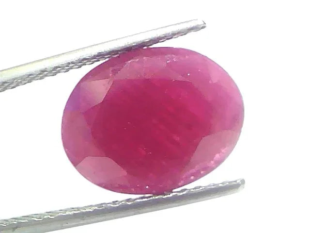 7.86 Ct Certified Unheated Untreated Natural New Burma Ruby - Venus Gems