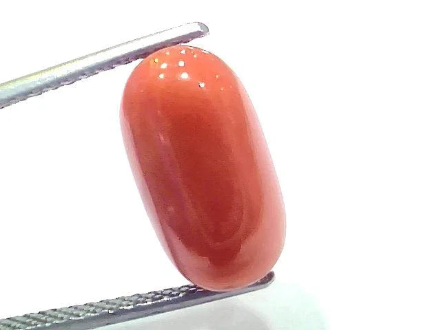 7.92 Ct 8.7 Ratti Natural Untreated Italian Red Coral Moonga Gems - Venus Gems