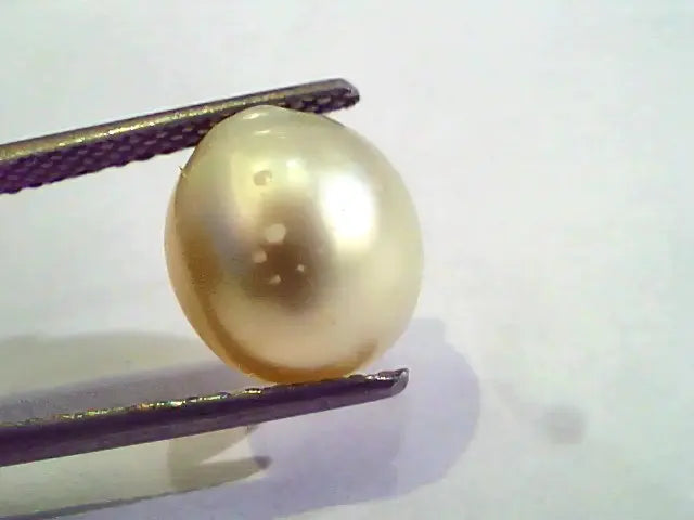 7.91 Carat Natural Certified Real South Sea Pearl,Certified Moti