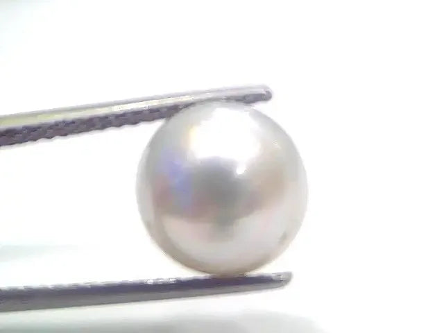 7.80 Ct Natural Certified Real South Sea Pearl Certified Moti - Venus Gems
