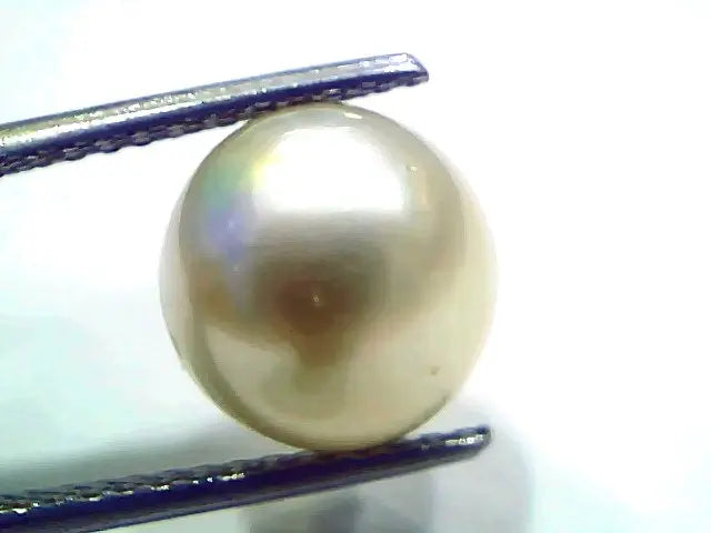 7.86 Ct Natural Certified Real South Sea Pearl Certified Moti
