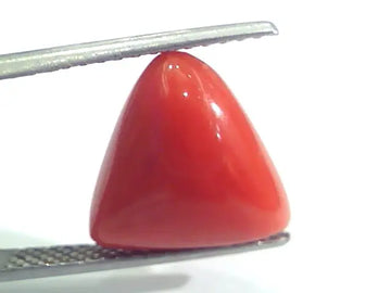 8.00 Ct 13.3 Ratti Natural Italian Triangle Red Coral Moonga Gemstone