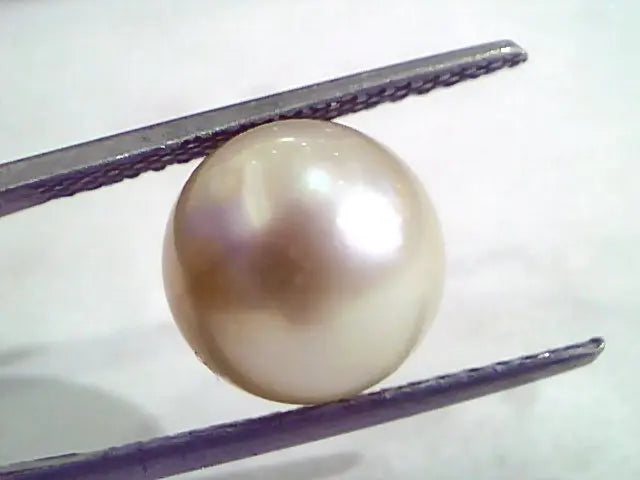 8.02 Carat Natural Certified Real South Sea Pearl,Certified Moti