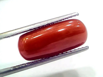 7.95 Ct 8.83 Ratti Natural Italian Red Coral Moonga Gemstone