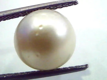 7.98 Carat Natural Certified Real South Sea Pearl,Certified Moti