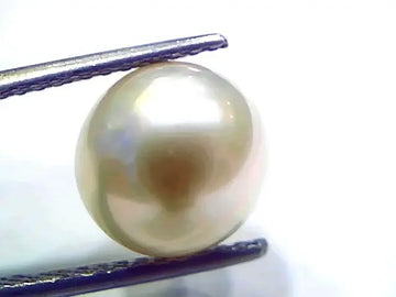7.88 Ct Natural Certified Real South Sea Pearl Certified Moti - Venus Gems